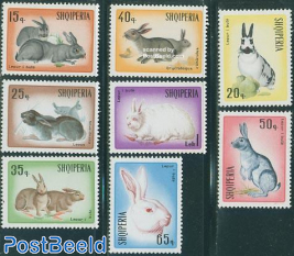 Rabbits 8v