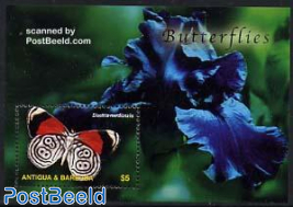 Butterflies s/s, Diaethia M.