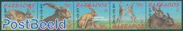 China 99, rabbits 5v [::::]