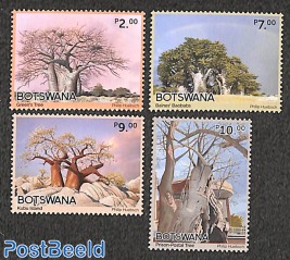 Baobabs 4v