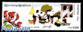 Htamane rice festival 1v