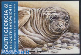 Sea mammals booklet