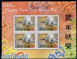 Year of the rat m/s