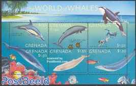 Sea mammals 6v m/s, common dolphin