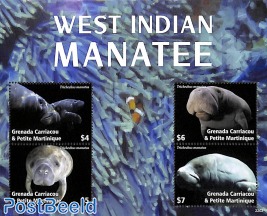 West Indian Manatee 4v m/s