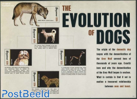 The Evolution of Dogs 5v m/s