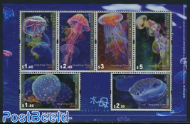 Jellyfish 6v m/s