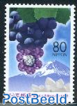 Fuji mountain, grapes 1v