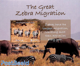 The Great Zebra Migration s/s