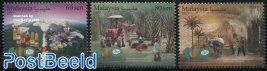 Palm Oil Industry 3v