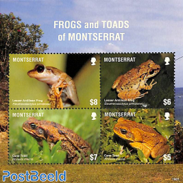 Frogs 4v m/s