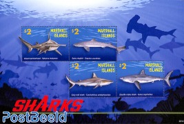 Sharks 4v m/s