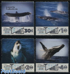 Humpback Whales 4v