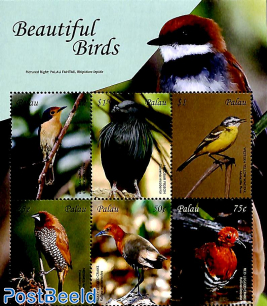 Beautiful birds 6v m/s