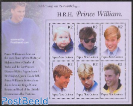 Prince William 6v m/s