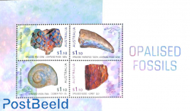Opal fossiles s/s