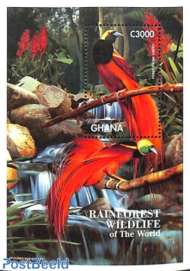 Rain forest fauna  s/s