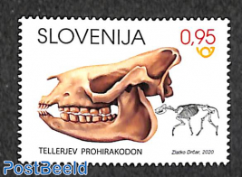 Prohyracodon Telleri 1v
