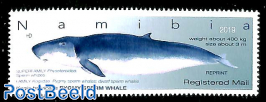 Whale, reprint with diff. bottom line