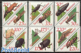 Insects 6x2v