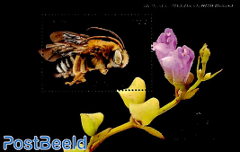 World bee day s/s