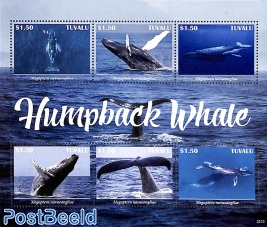 Humpback Whale 6v m/s