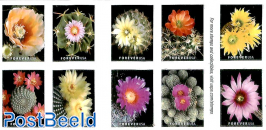 Cactus flowers 10v s-a