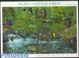 Pacific rain forest 10v m/s