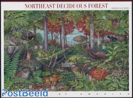 Northeast Deciduous Forest 10v m/s