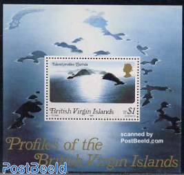 Island profiles s/s