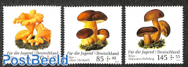 Jugend mushrooms 3v
