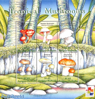 Mushrooms 6v m/s, Clitocy