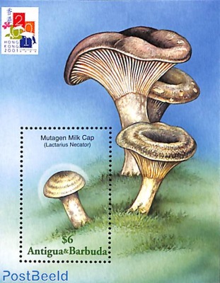 Mushroom s/s, Lactarius necator