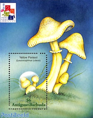 Mushrooms s/s, Leucocoprinus bimbaumii
