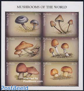 Mushrooms 6v m/s