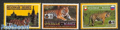 Tiger population 3v