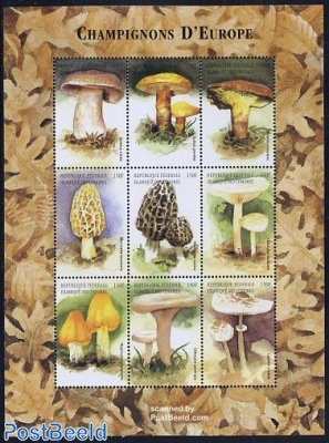 European mushrooms 9v m/s, Boletus edulis