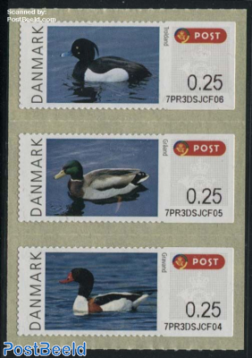 Automat stamps, Ducks 3v s-a