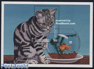 Silver tabby american shorthair cat s/s
