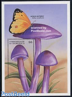 Mushrooms s/s, Cortinarius violaceus