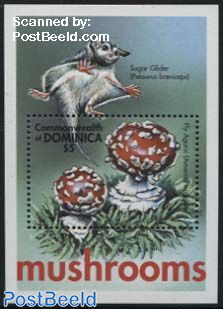 Mushrooms s/s, Armanita muscaria