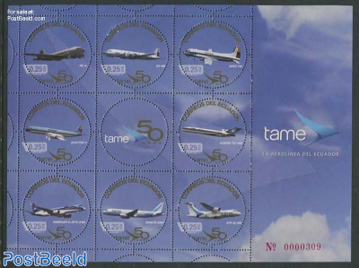Tame airline 9v m/s