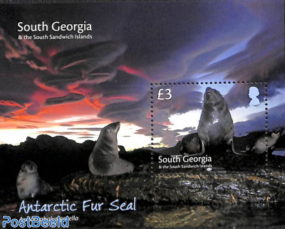 Antarctic Fur Seal s/s