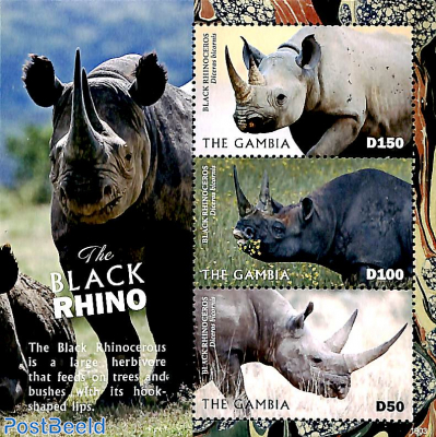 Black Rhino 3v m/s