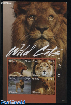 Wild Cats of Africa 4v m/s