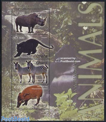 Animals 4v m/s, Rhino