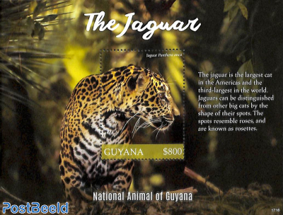 The Jaguar s/s
