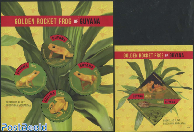 Golden Rocket Frog 2 s/s