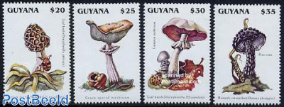 Mushrooms 4v