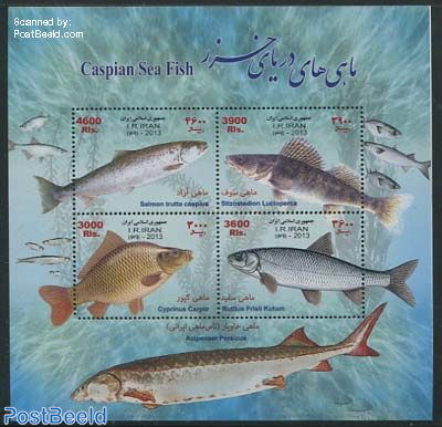 Caspian Sea Fish 4v m/s